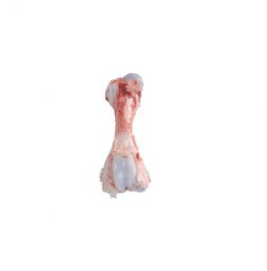 PORK FEMUR BONE - Buy Beef & Chicken Online